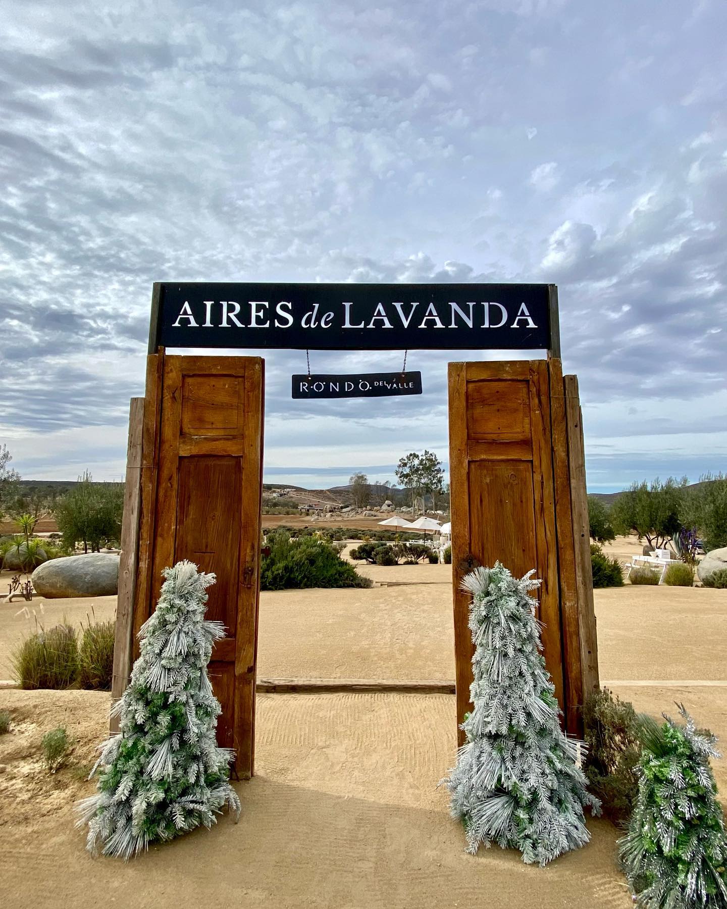 Aires de Lavanda