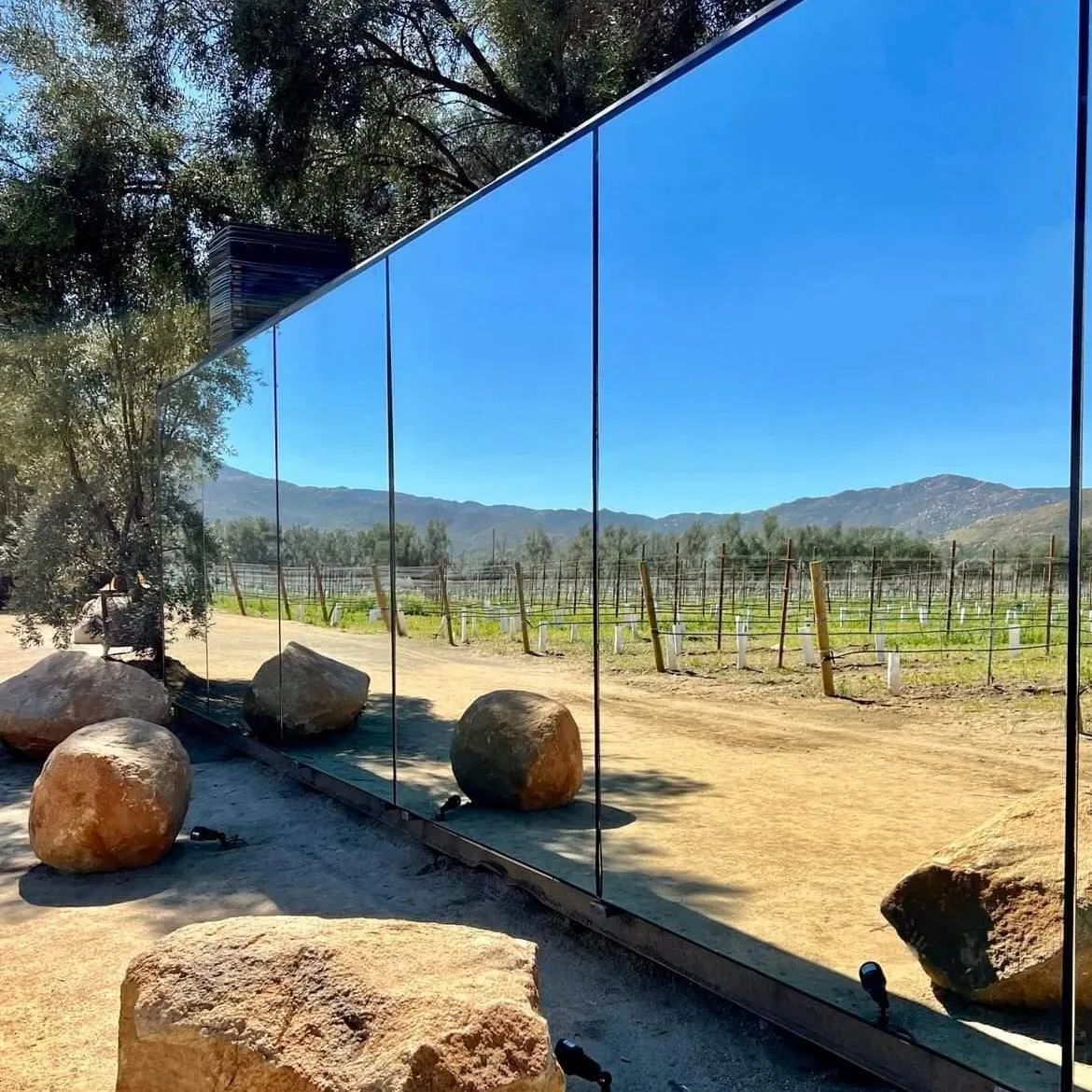 Valle de Guadalupe